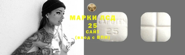 индика Переславль-Залесский