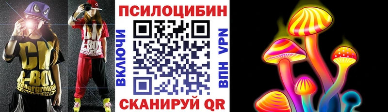 наркошоп Сасово Псилоцибиновые грибы Psilocybe