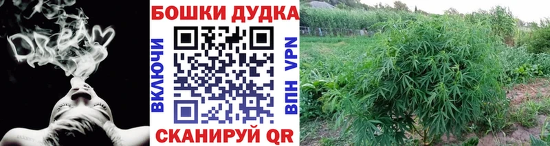 Конопля MAZAR как найти ссылка на мегу ССЫЛКА Сасово